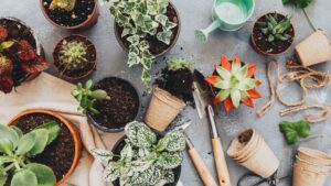9 DIY Garden Projects Anyone Can Do