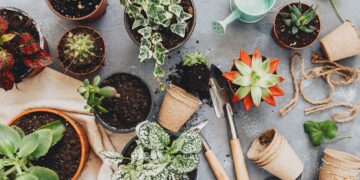9 DIY Garden Projects Anyone Can Do