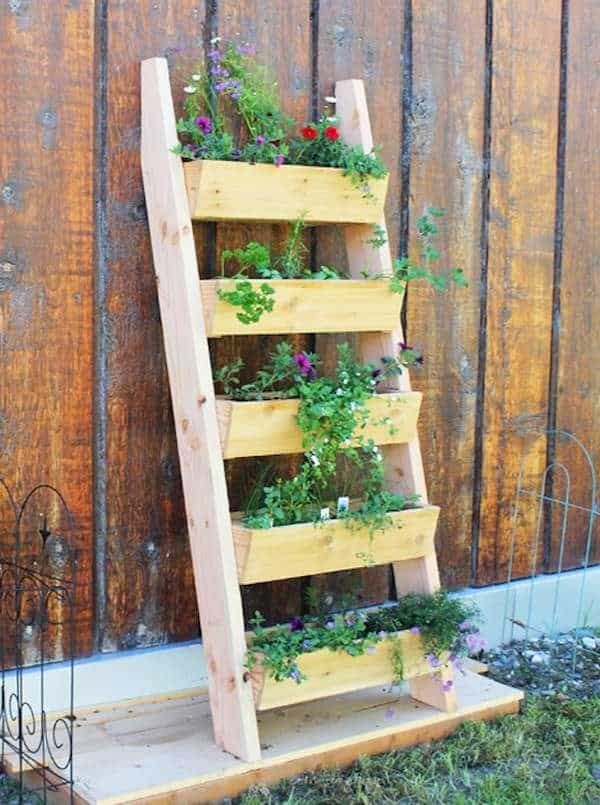 DIY garden projects anyone can do