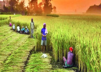 10 Technological Innovations That Are Transforming Indian Agriculture