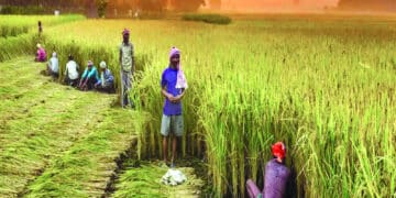 10 Technological Innovations That Are Transforming Indian Agriculture