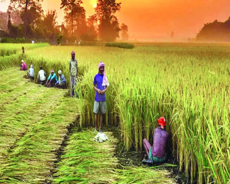 10 Technological Innovations That Are Transforming Indian Agriculture