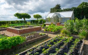 The Main Challenges Of Permaculture.