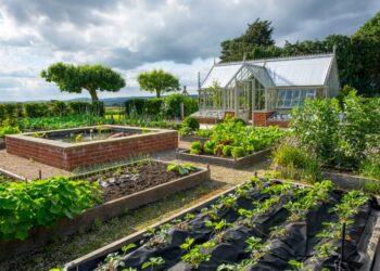 The Main Challenges Of Permaculture.