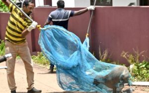 Kerala to institute an expert panel to check the quality of anti-rabies vaccines