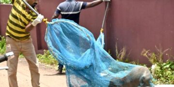 Kerala to institute an expert panel to check the quality of anti-rabies vaccines