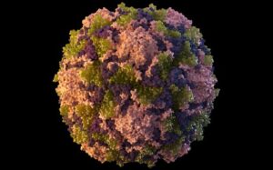 Baby dies due to poliovirus as Pakistan seems failing to contain the crippling disease