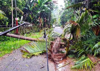 Houses damaged, trees uprooted as whirlwind lashes Thrissur 