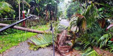 Houses damaged, trees uprooted as whirlwind lashes Thrissur 