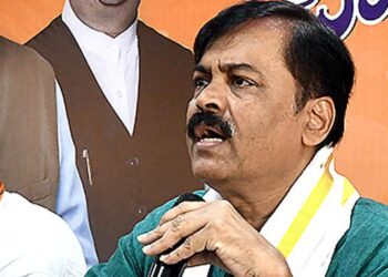 Kakinada Bulk Drug Park should be diligently executed, says GVL