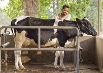 Malayalam film industry expects a blockbuster Onam this time