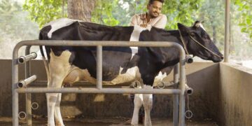 Malayalam film industry expects a blockbuster Onam this time