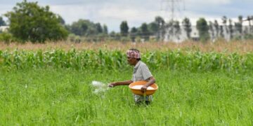 Nano urea fast-tracked for approval despite incomplete trials