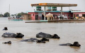 Pakistan reopens key highway to speed aid to flood victims