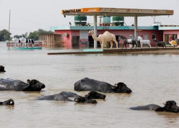 Pakistan reopens key highway to speed aid to flood victims