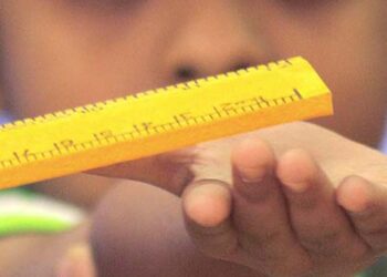 What the brief life of Inder Meghwal tells us