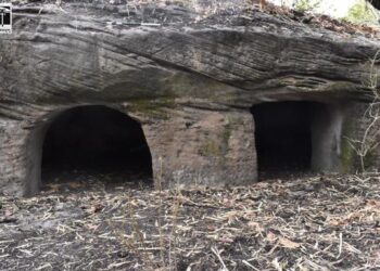 Caves of Bandhavgarh not Buddhist, says Ashoka University Professor Nayanjot Lahiri