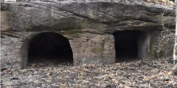 Caves of Bandhavgarh not Buddhist, says Ashoka University Professor Nayanjot Lahiri