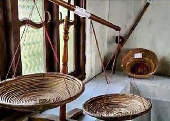 Explained | Why was the Miya Museum in Assam sealed? 