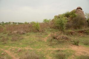 HMDA to conduct auction for 412 plots in four layouts