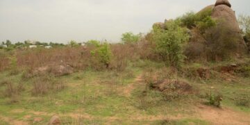 HMDA to conduct auction for 412 plots in four layouts