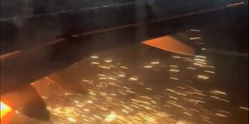 Morning Digest: October 29 2022