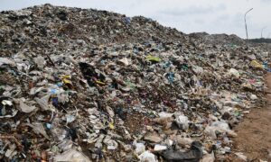 NGT directs Coimbatore Corporation, Collector to file status report on Vellalore dump yard