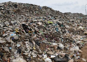 NGT directs Coimbatore Corporation, Collector to file status report on Vellalore dump yard