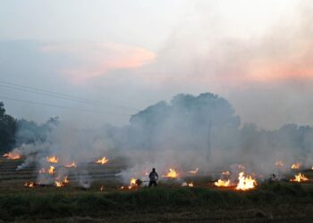 Paddy pellet scheme does not consider production costs, say entrepreneurs