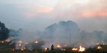 Paddy pellet scheme does not consider production costs, say entrepreneurs