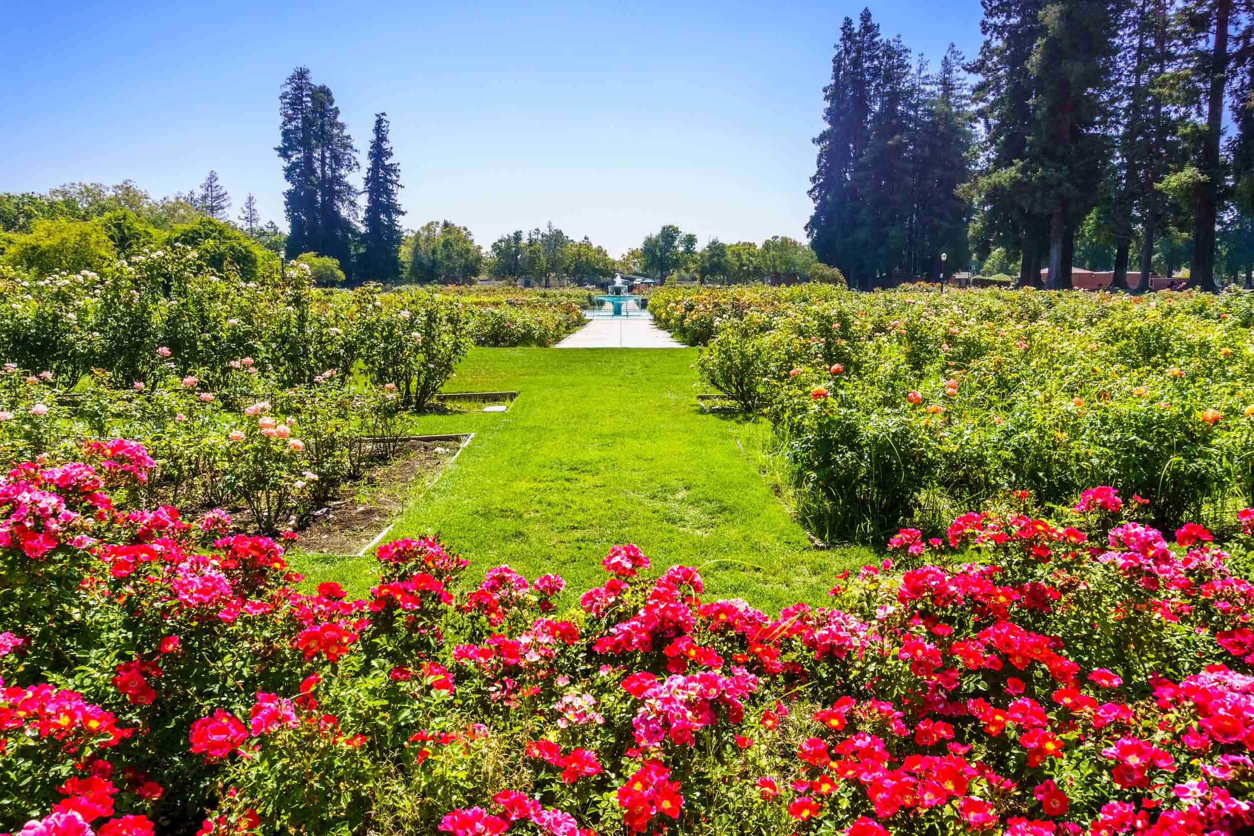 10 Most Beautiful Gardens In The USA