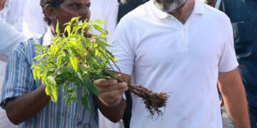 Voice of people not heard as BJP controls all parties in A.P.: Rahul