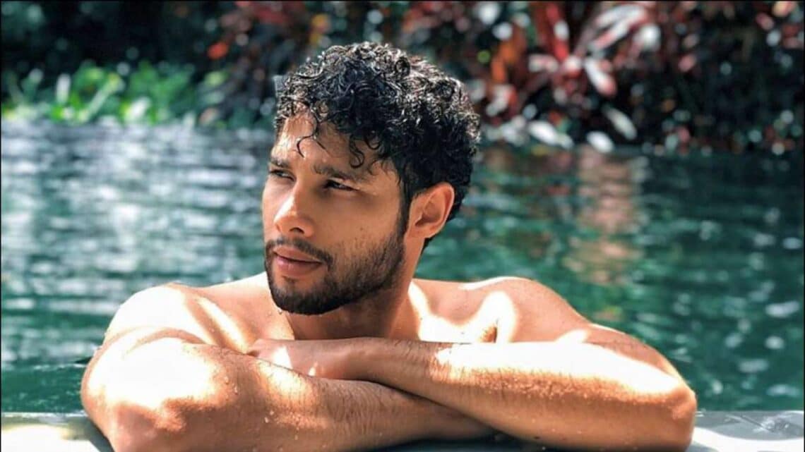 10 Unknown Facts About Siddhant Chaturvedi