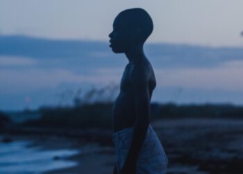 20 Most Remarkable Dialogues From Moonlight