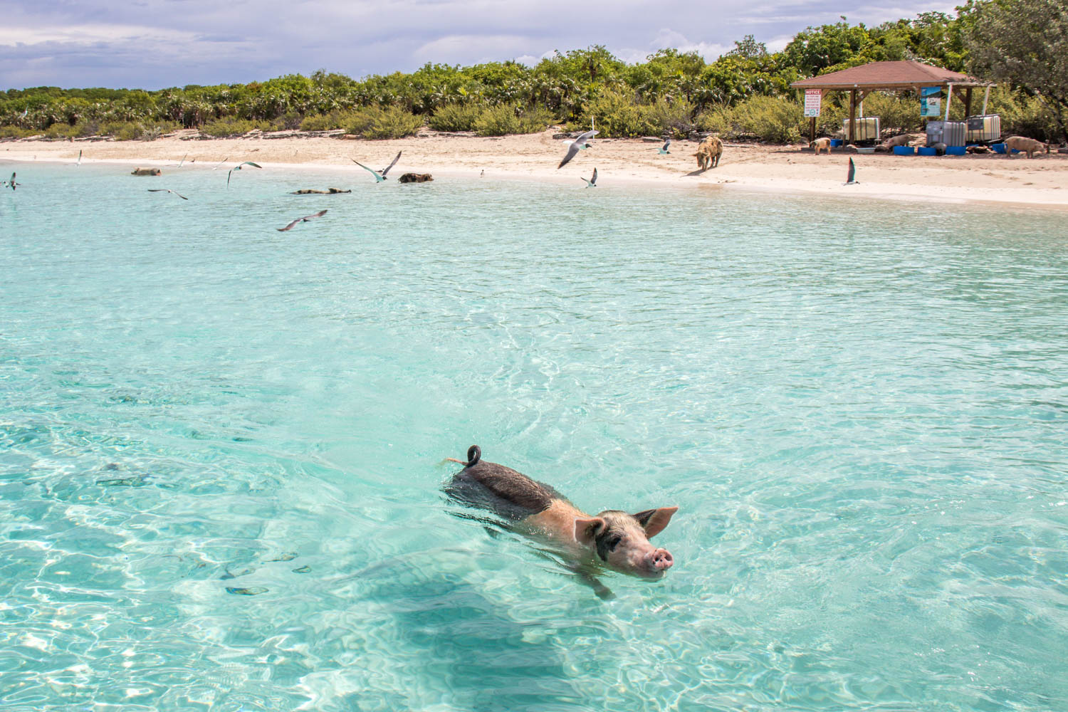 10 Best Beaches In Bahamas