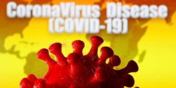 COVID-19 | Mild disease, no severity among Indian patients: INSACOG on Omicron’s XBB variant