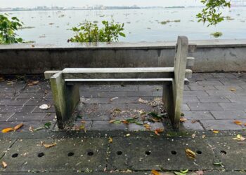 CSML decries stealing, damage to public property