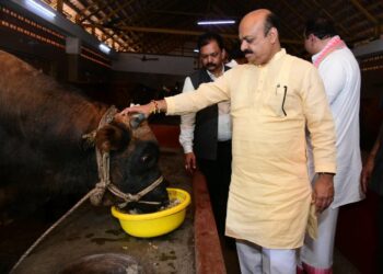 Congress and Jarkiholi should apologise for comments on the term ‘Hindu’: CM Bommai