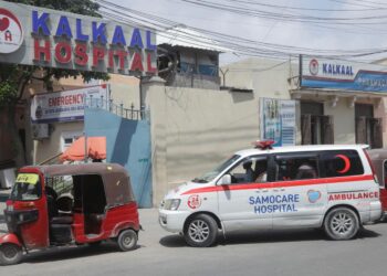 Eight civilians killed as hours-long Somalia hotel siege ends