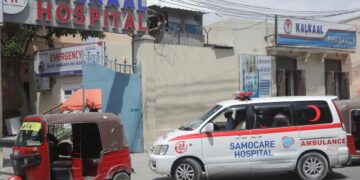 Eight civilians killed as hours-long Somalia hotel siege ends