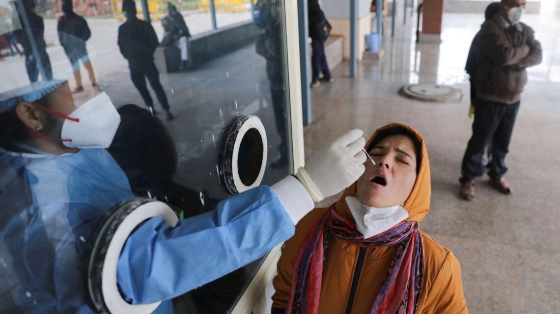 Expert Bodies like ICMR Best Judges, Says Delhi High Court on Plea to Allow Homoeopathy for Mild Covid