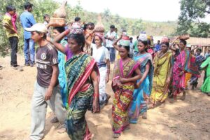 Millets in the mainstream | How Odisha’s Kutia Kondh tribe rediscovered a palate for the ‘poor man’s food’