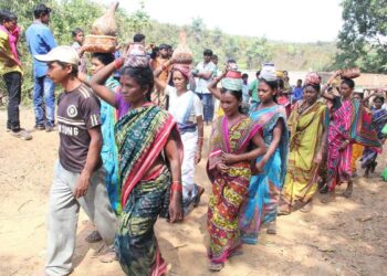 Millets in the mainstream | How Odisha’s Kutia Kondh tribe rediscovered a palate for the ‘poor man’s food’