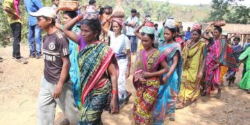 Millets in the mainstream | How Odisha’s Kutia Kondh tribe rediscovered a palate for the ‘poor man’s food’