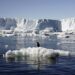 Russia, China block plans for Antarctic marine protections