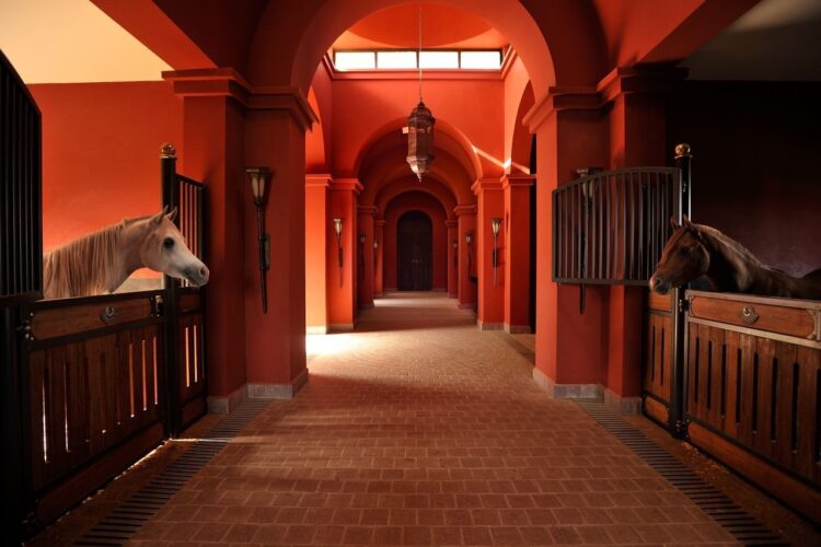 10 Most Luxurious Horse Stables Around The Globe – The Second Angle