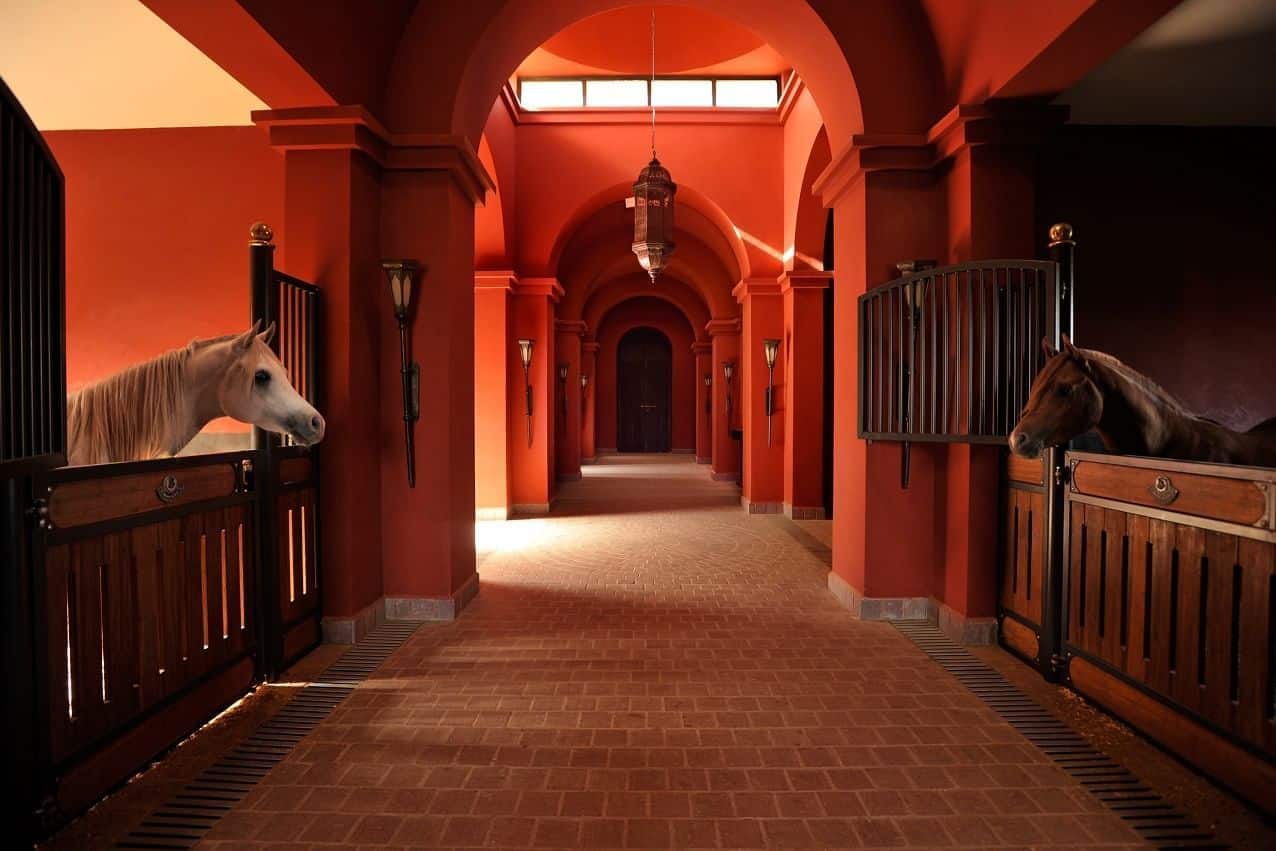 10 Most Luxurious Horse Stables Around The Globe