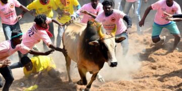 Tamil Nadu defends Jallikattu in Supreme Court, terms it a cultural event