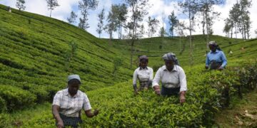 Watch | How the economic crisis has hurt Sri Lanka’s hill Tamils