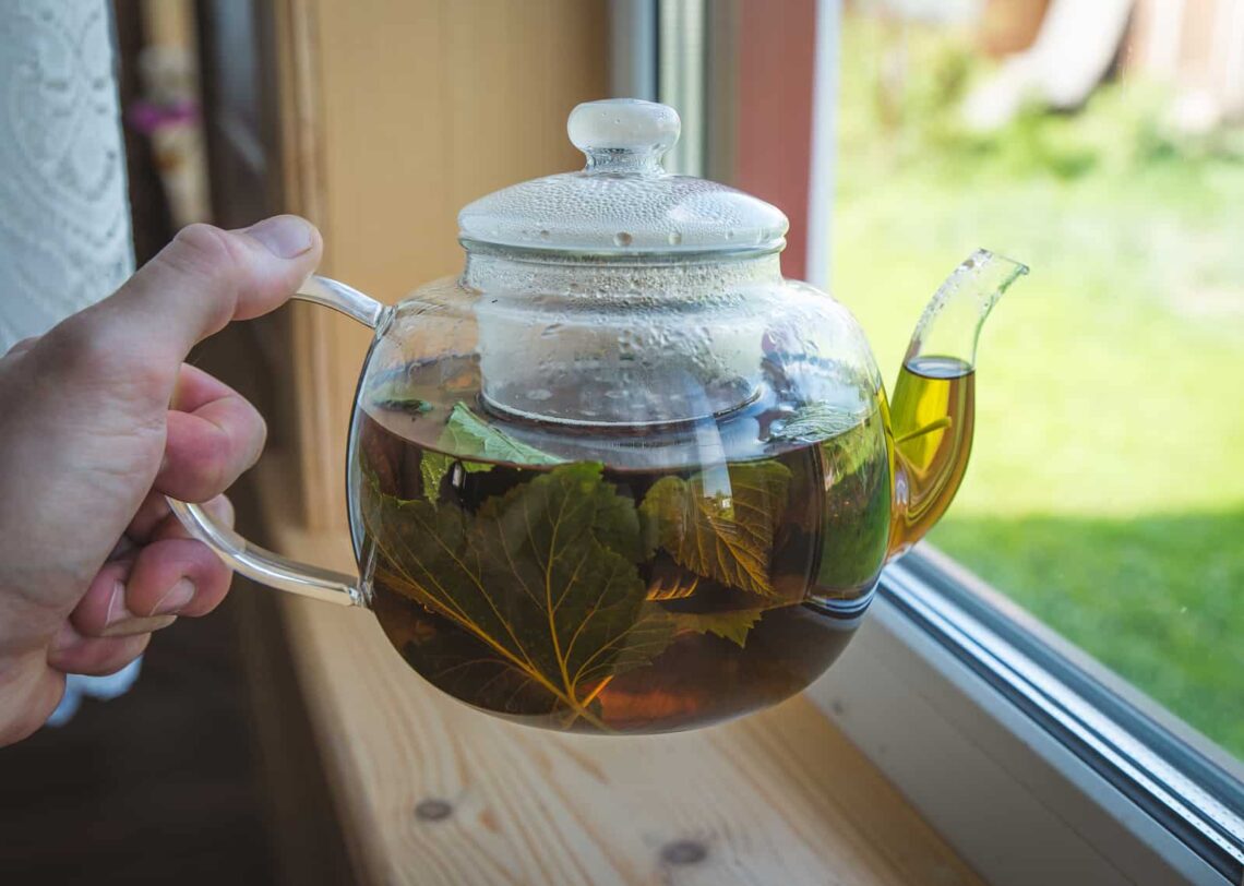 6 Best Methods You Can Adopt To Make Kratom Tea